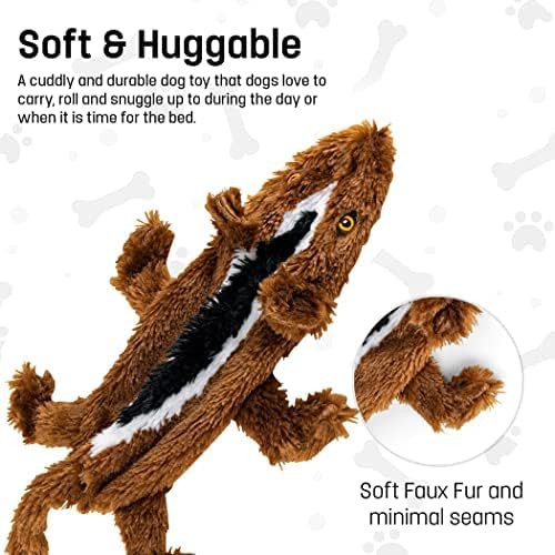 Racoon-Squirrel Flat NO Stuffing NO Squeak Plush Dog Toy, Funny Style Will Entertain Your Pet for Hours