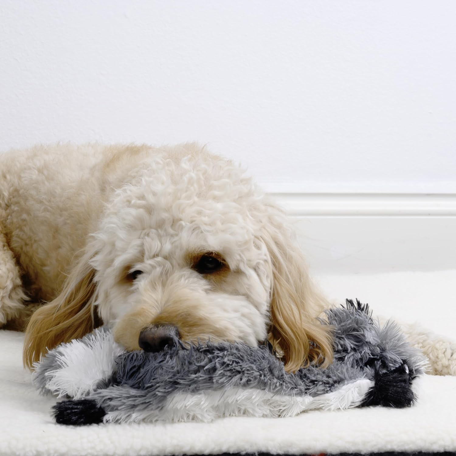 Racoon-Squirrel Flat NO Stuffing NO Squeak Plush Dog Toy, Funny Style Will Entertain Your Pet for Hours